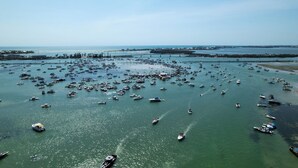 A marina filled with numerous boats and yachts.