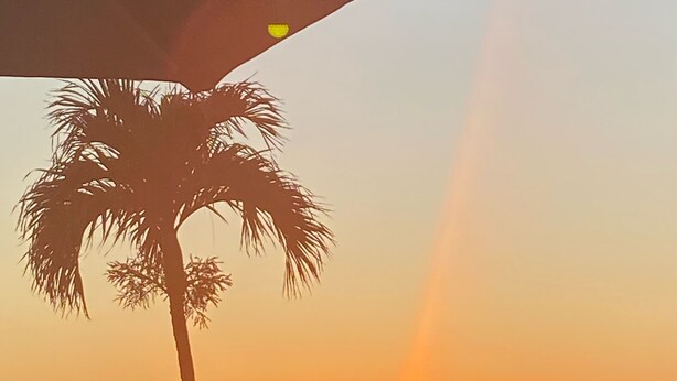 A sunset over a beach with palm trees and a person sitting on the sand. - RELAX and Save! Escape on sunny Fort Myers Beach in a 2BR/2BA w/ Pool/ Gulf view (Fort Myers Beach)