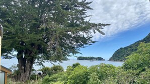 A coastal view with a large tree, a wooden fence, and a building with a balcony overlooking the sea. - Totara Bach - just a few meters away from the beach (Tata Beach, Golden Bay) (Tata Beach)