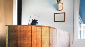 A wooden reception desk with a mounted deer head and a framed certificate on the wall. - Jackalope Motor Lodge (Pinedale)
