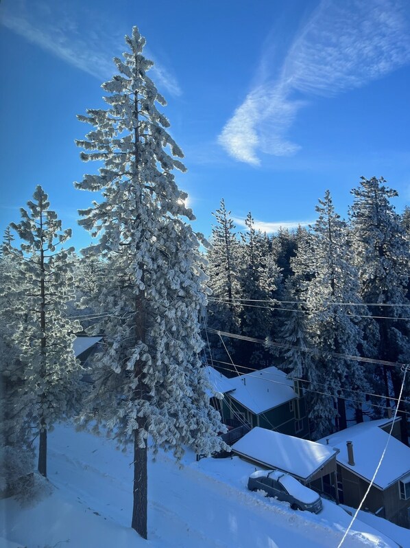 A snow-covered landscape with a house and trees. - Mountain Escape: Sleeps Multiple Families with Pool Table & Game Room (Running Springs)