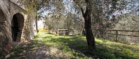 Parco della struttura