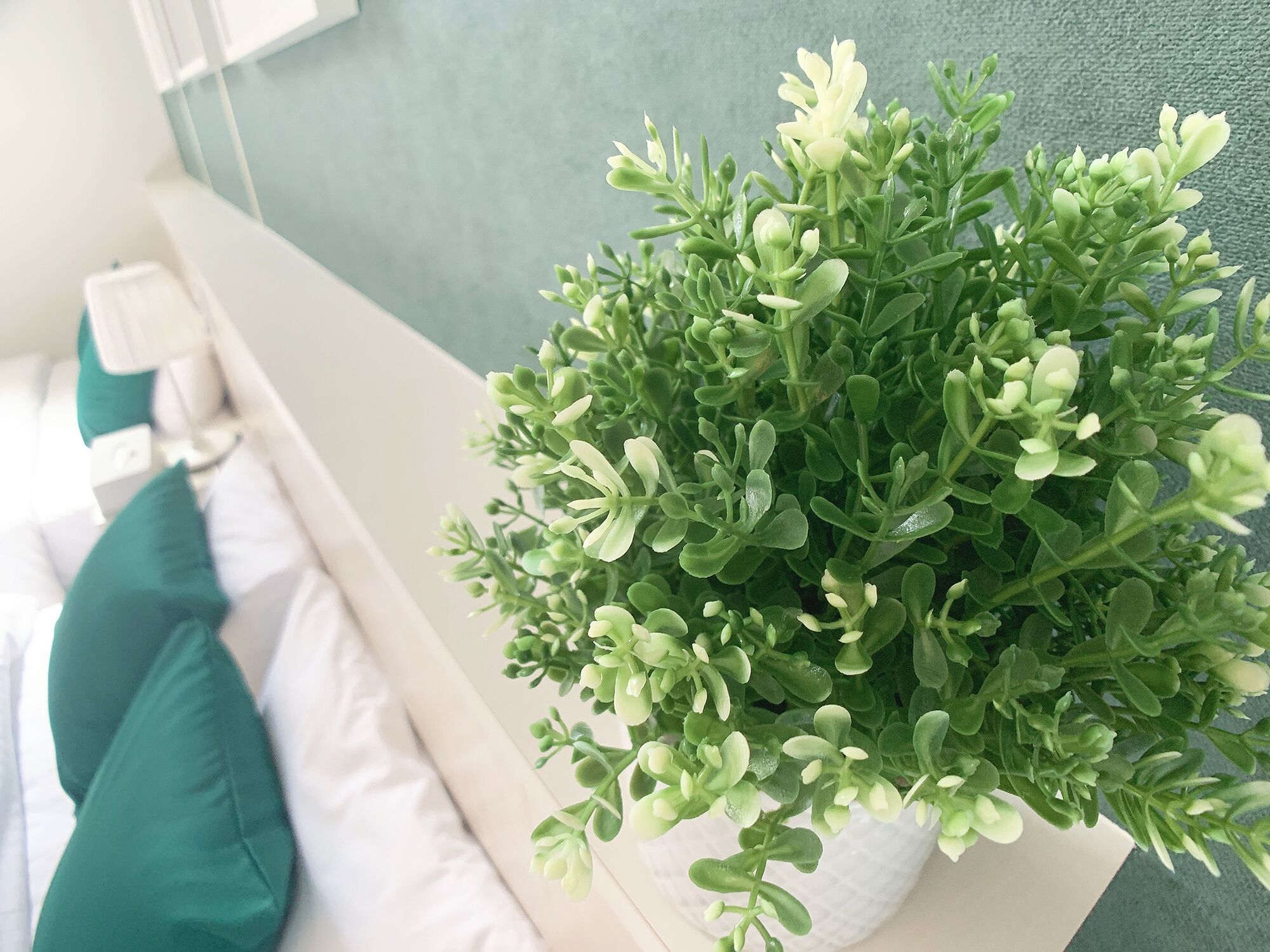 Ein Blumentopf auf einem weißen Tisch in einem Zimmer mit weißer Wand und Fenster.