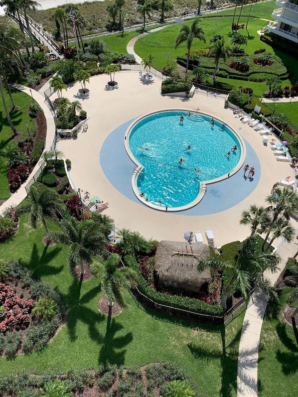 Uma grande piscina circular rodeada por palmeiras e um gramado bem cuidado.