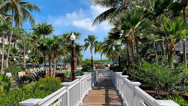 Pasarela de madera con barandas blancas, rodeada de exuberante vegetación y palmeras, que conduce a una zona de piscina con sillones de playa y sombrillas.