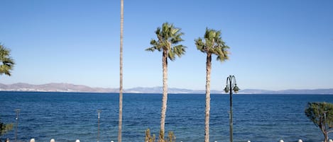 Un paseo marítimo con palmeras, cielo azul despejado y vistas al océano.