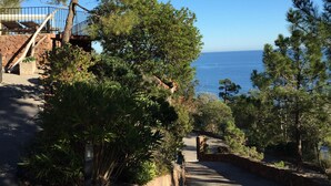 Un camino que lleva a una escalera de piedra con vista al mar.