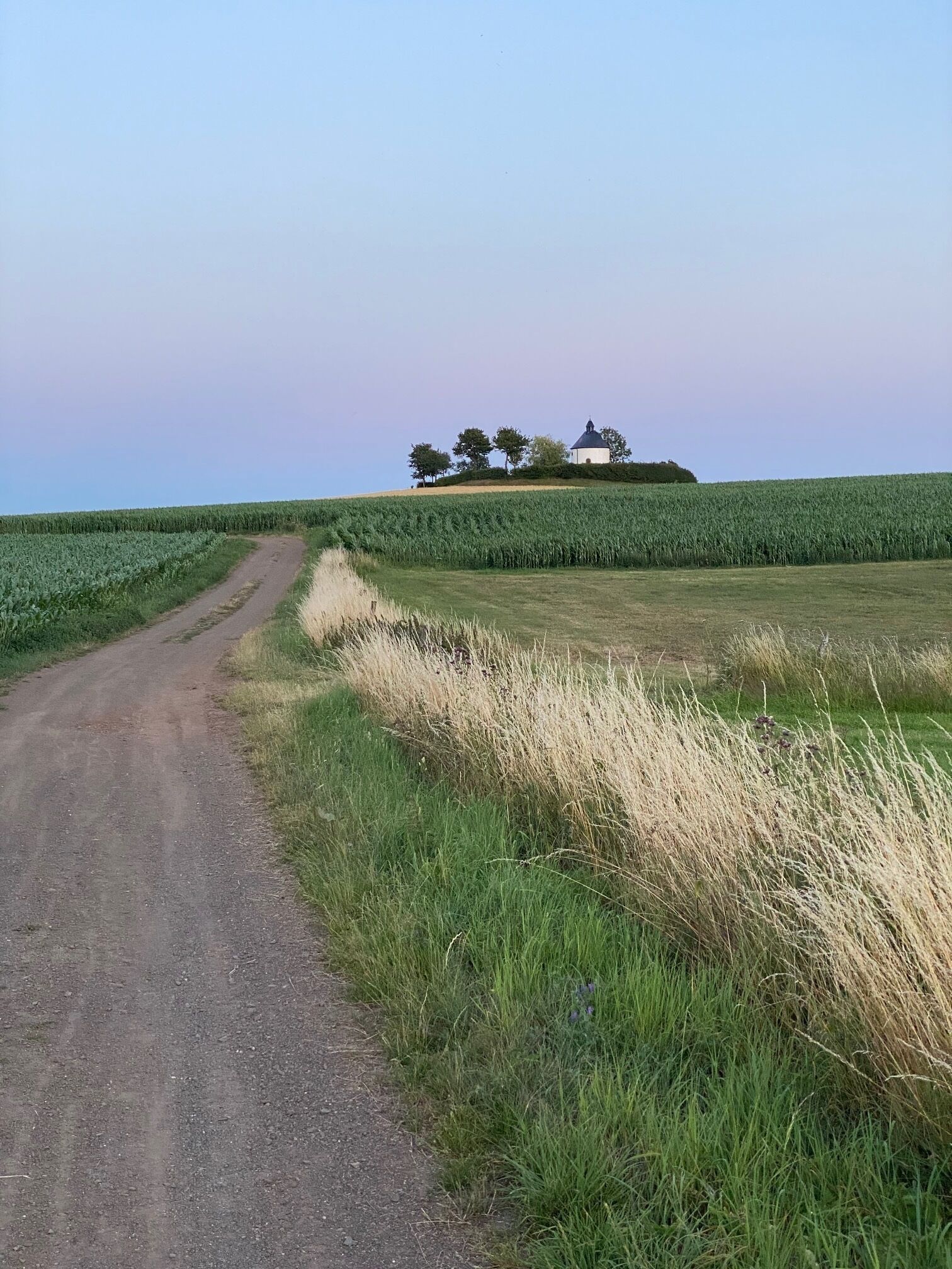 A rural landscape with a dirt road leading to a white building with a dome roof, surrounded by fields and trees.