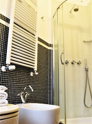 Shower, hair dryer, towels