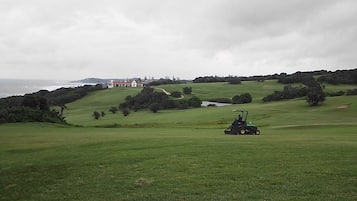 Golfe