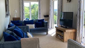 智能电视、DVD 播放器、书