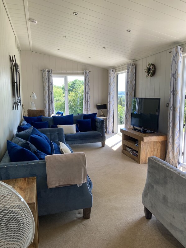 Smart TV, DVD player, books