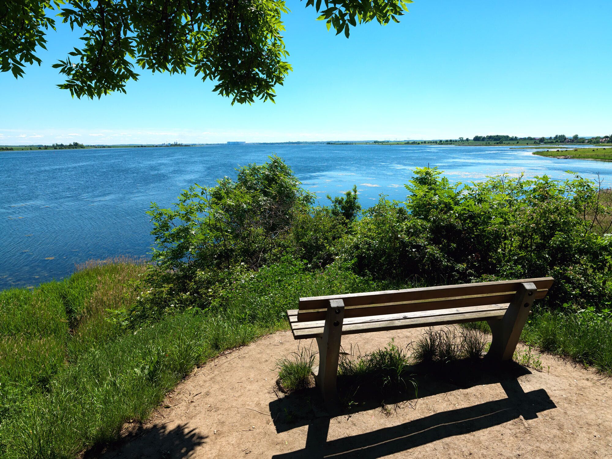 A bench overlooking a river with a clear view of the water and distant land.