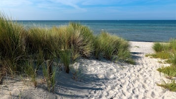 Nära stranden