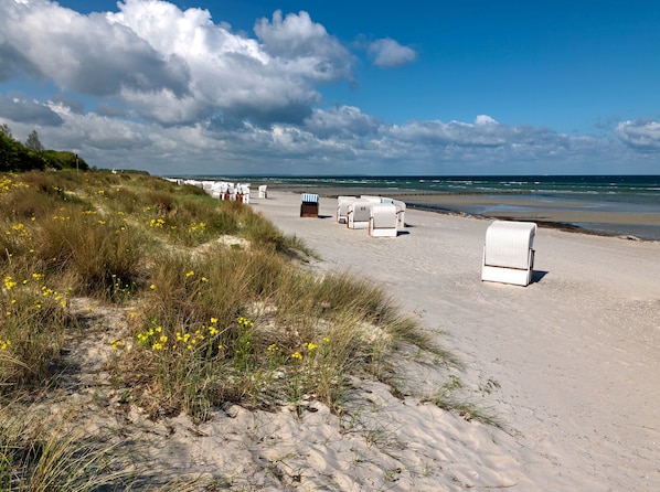 Plage à proximité
