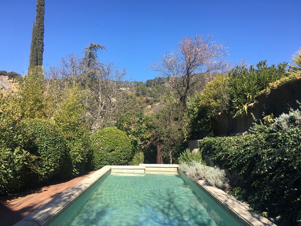Piscina cristalina rodeada por vegetação exuberante e árvores.