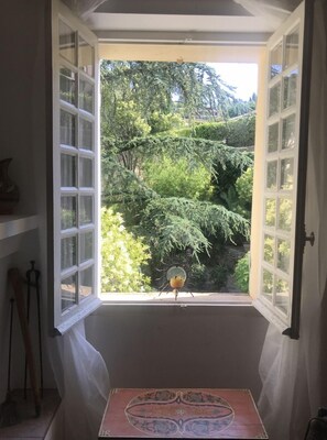 Janela aberta com vista para vegetação exuberante e um objeto de vidro decorativo no parapeito.