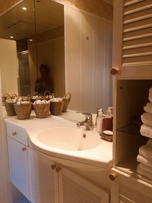 Bathtub, hair dryer, bidet, towels