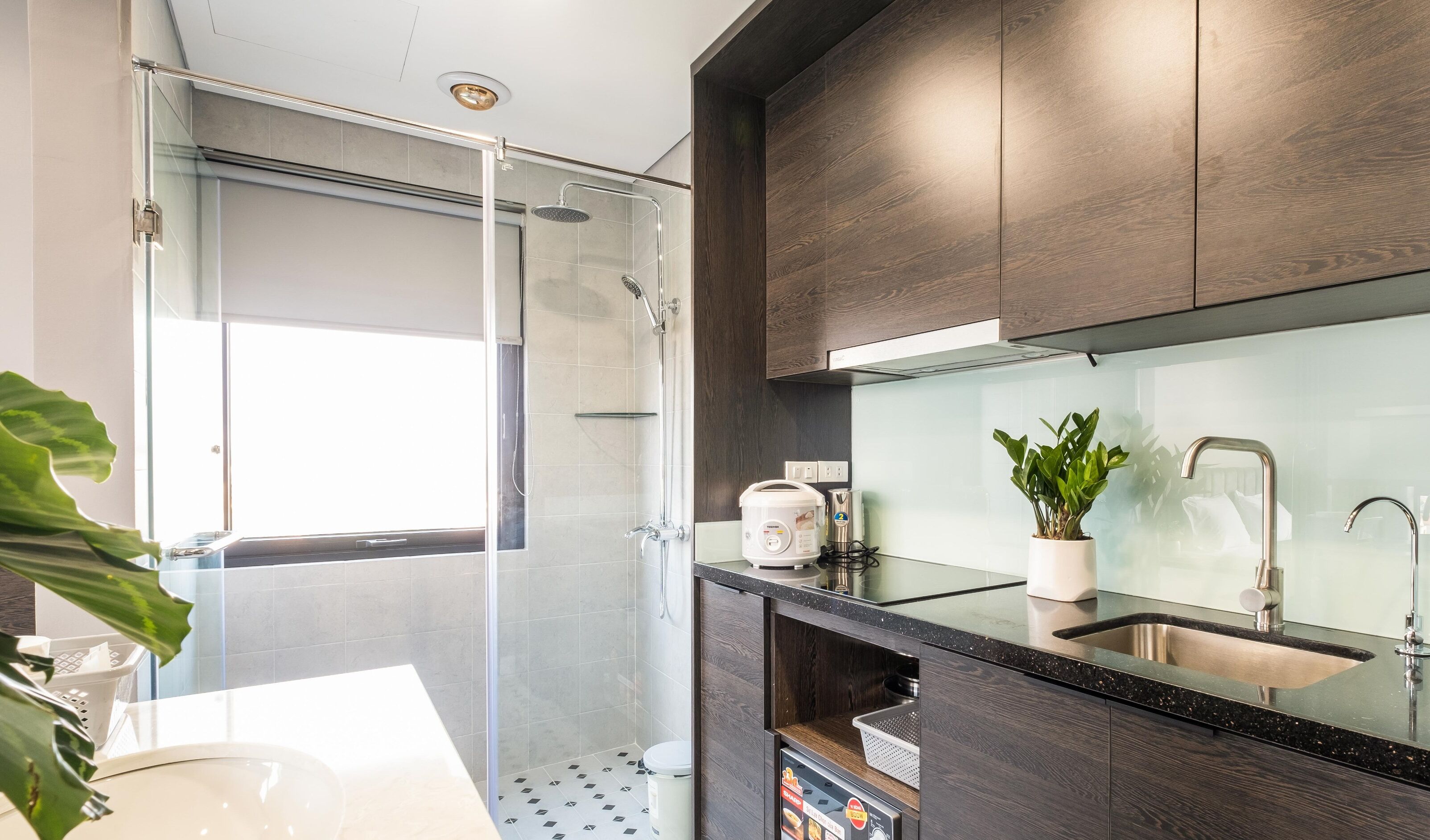 A modern bathroom with a glass shower enclosure, a sink with a mirror, and a potted plant.
