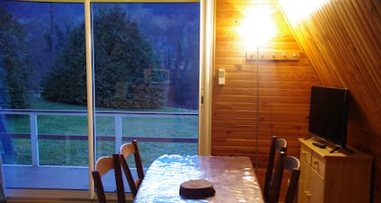 QUIET MOUNTAIN CHALET. Hiking, 1/4h from skiing, 200m from the village