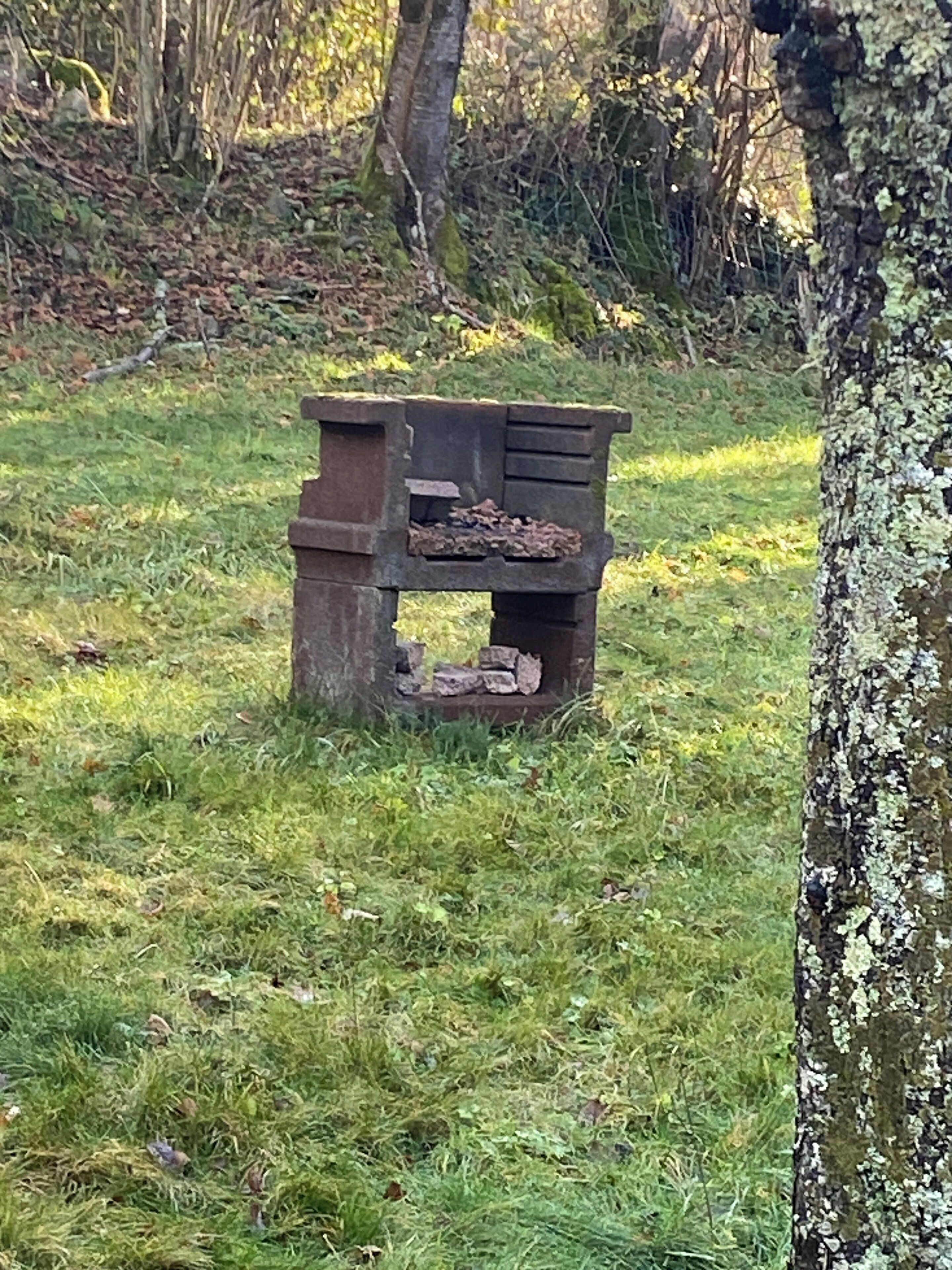 BBQ 