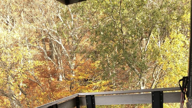 Un petit espace extérieur aménagé avec une table et des chaises, entouré d’une rambarde en bois et offrant une vue sur le feuillage automnal.