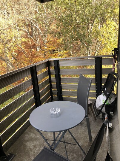 2-bedroom apartment with piste view 5 minutes from center