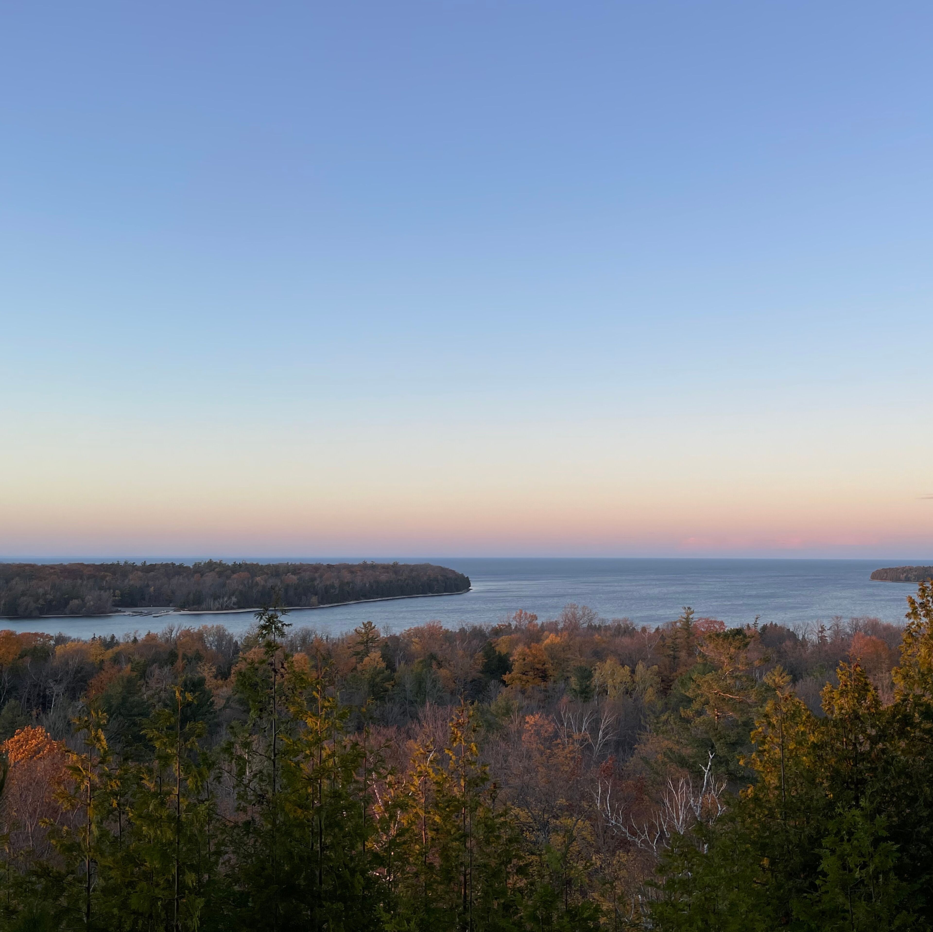 A coastal landscape with dense forest in the foreground and a calm sea in the background.