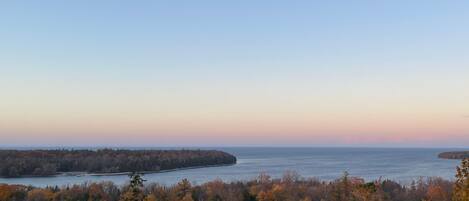 A coastal landscape with dense forest in the foreground and a calm sea in the background.