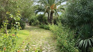 A garden pathway with a palm tree and various plants. - A very special villa (Sardegna)
