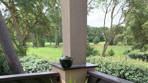 Une plante en pot, dotée de longues feuilles vertes, est placée sur un banc en bois, avec une colonne à motifs en arrière-plan.