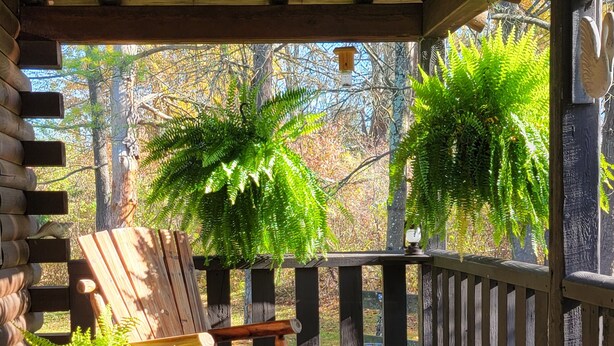 A wooden porch with a rocking chair and potted ferns. - Cozy log cabin in Lake Community.  (Athens)