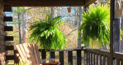 Cozy log cabin in Lake Community.
