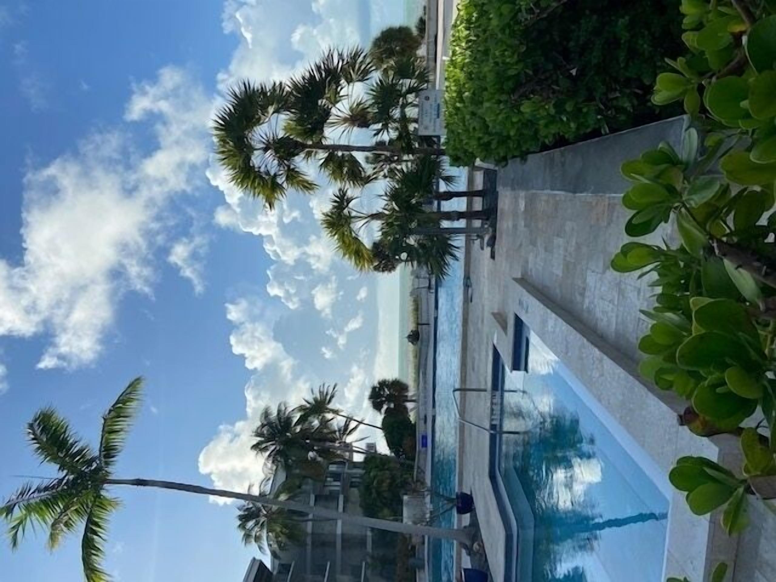Zona de piscina con palmeras y cielo despejado.