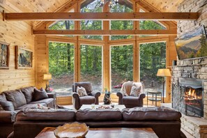 Smart-TV, Kamin