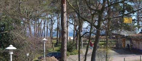 المنطقة المحيطة بالمنشأة