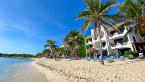 Ein Strand mit Palmen, einem Gebäude mit Balkonen und Liegestühlen.