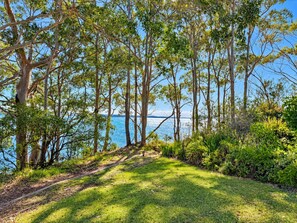 A pathway leading to a body of water, surrounded by trees and greenery.