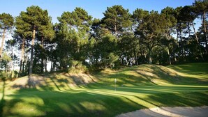 Campo de golf con un mástil de bandera en el green, rodeado de árboles y un cielo despejado.