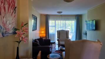 Een televisie, Netflix en streamingdiensten