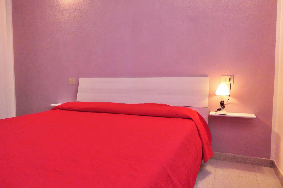 Basic Apartment