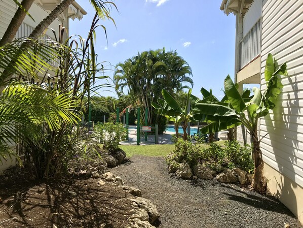Un sendero conduce a un área de piscina rodeada de plantas tropicales y un edificio con fachada blanca.