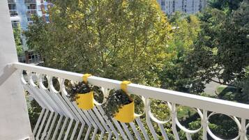 Apartemen, 1 Tempat Tidur King | Balkon
