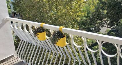 Apartment Balzak 64m2, Free Parking and Wifi
