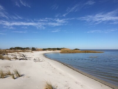 Cedar Island cottage, short walk to beach