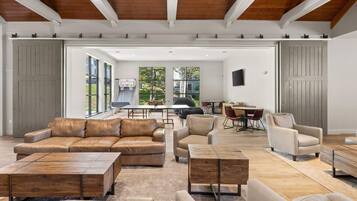 TV, fireplace, books