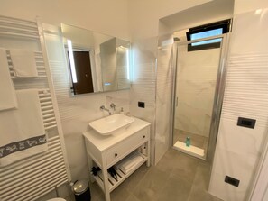 Shower, hair dryer, bidet, towels