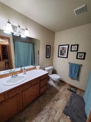 Combined shower/bathtub, towels, soap, toilet paper