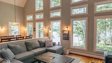 Smart TV, fireplace, books