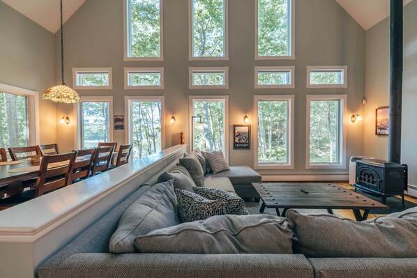 Smart TV, caminetto, libri